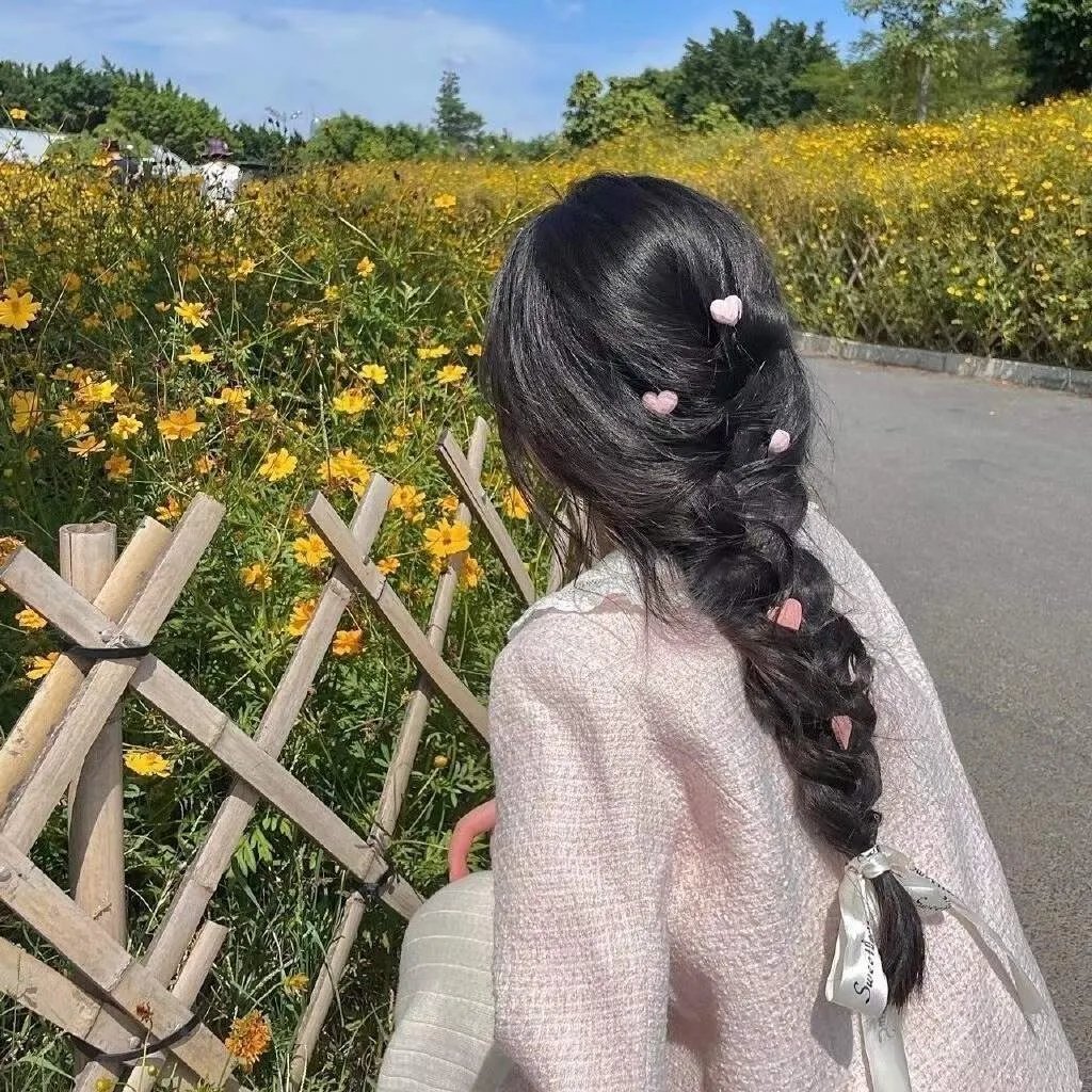 蒂科与鲨鱼